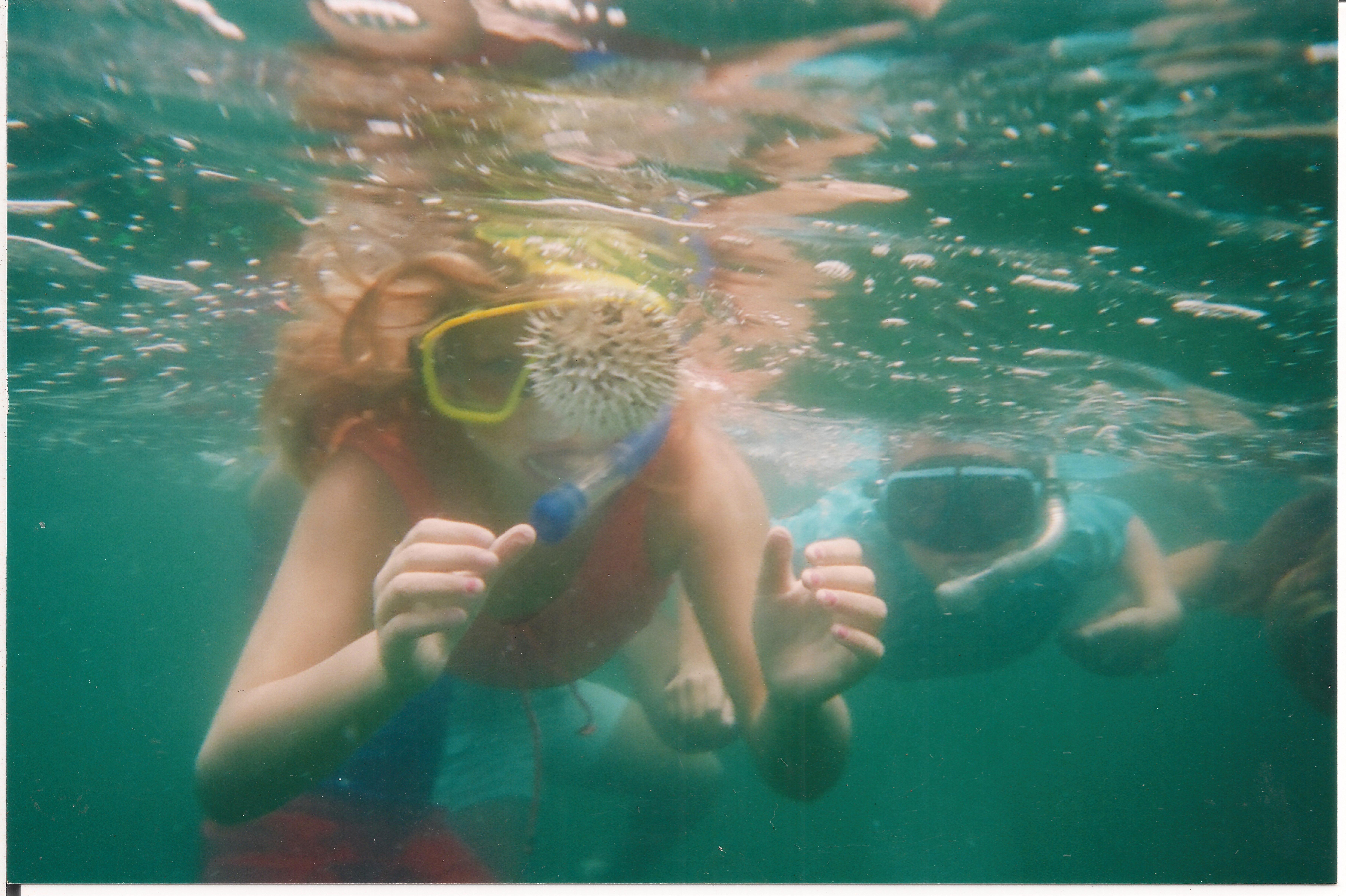 snorkeling_kids.jpg